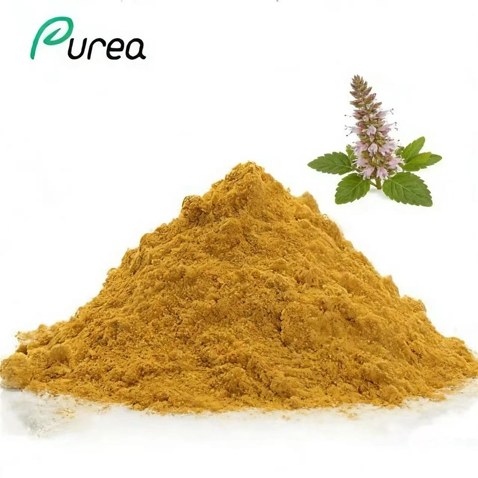 Phlomis Umbrosa ekstrakt u prahu
